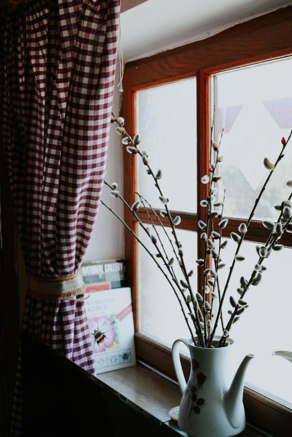 Studio Apartment Romeo ヴェリカ・ゴリツァ エクステリア 写真